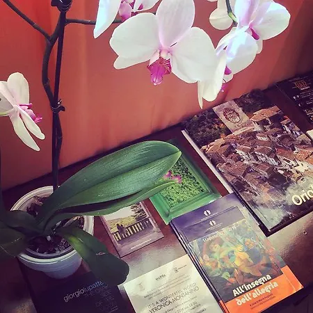 Girasole Nocleg ze śniadaniem Catanzaro