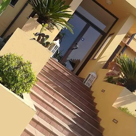 Girasole קטנזארו