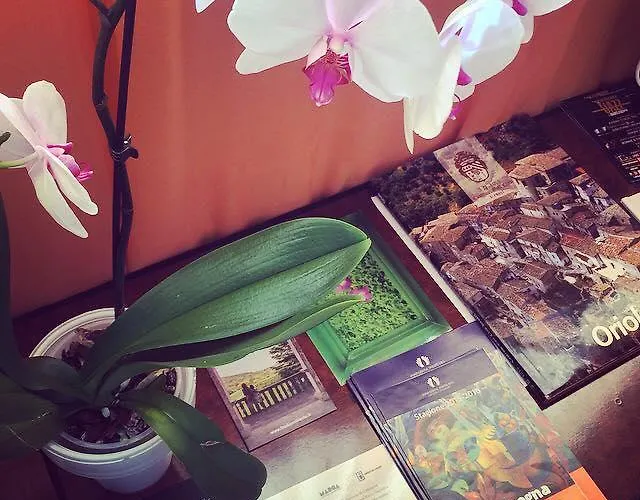 Girasole Panzió Catanzaro